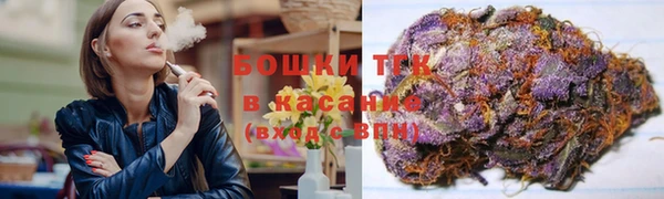 дживик Бородино