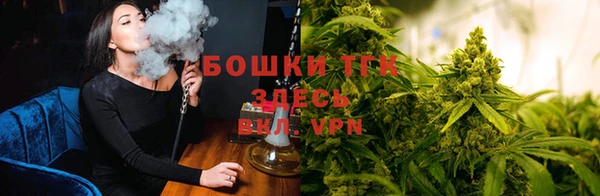 дживик Бородино