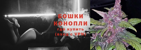 дживик Бородино