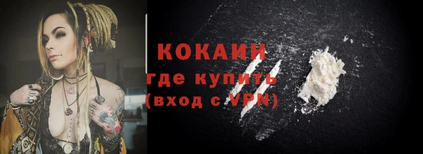 дживик Бородино