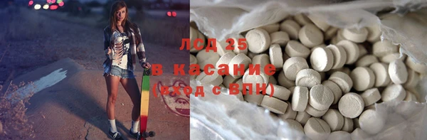 дживик Бородино