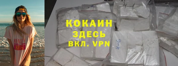 дживик Бородино