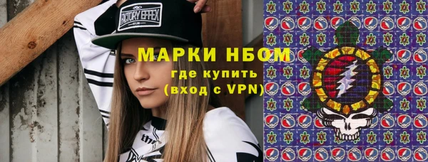 дживик Бородино