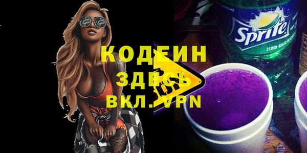 дживик Бородино