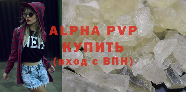 дживик Бородино