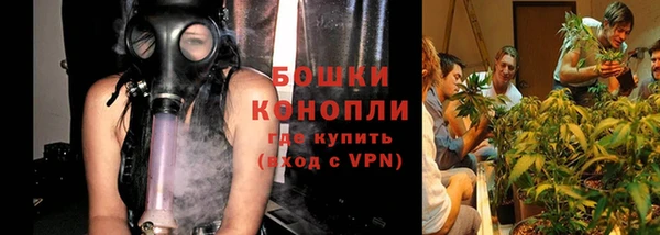дживик Бородино